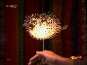 Mrpuff