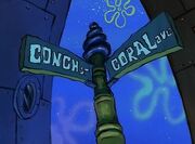 INTERSECTION OF CONCH AND CORAL