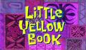 Little Yellow Book