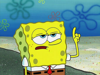 Sponge Bob Spongebob Meme Pictures