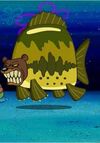 Sea bear