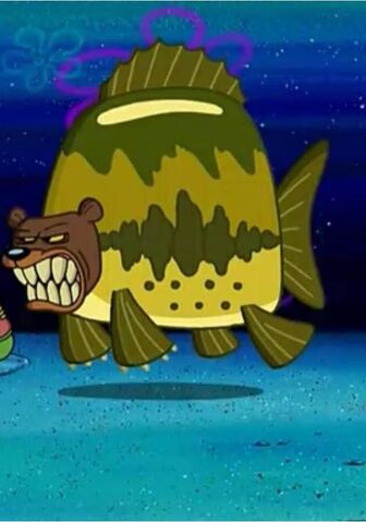 File:Sea bear.jpg