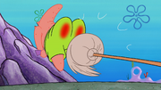 Patrick's Coupon 126