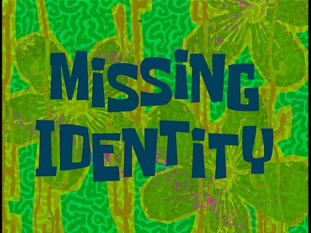 File:Missing Identity.jpg
