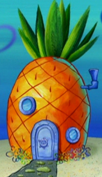 SpongeBob's house | Encyclopedia SpongeBobia | FANDOM ...