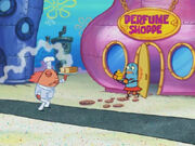 List of places in Bikini Bottom | Encyclopedia SpongeBobia | FANDOM