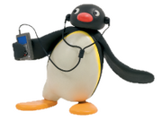 Pingu sing