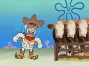 Rodeo Daze 45