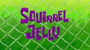 Squirrel Jelly