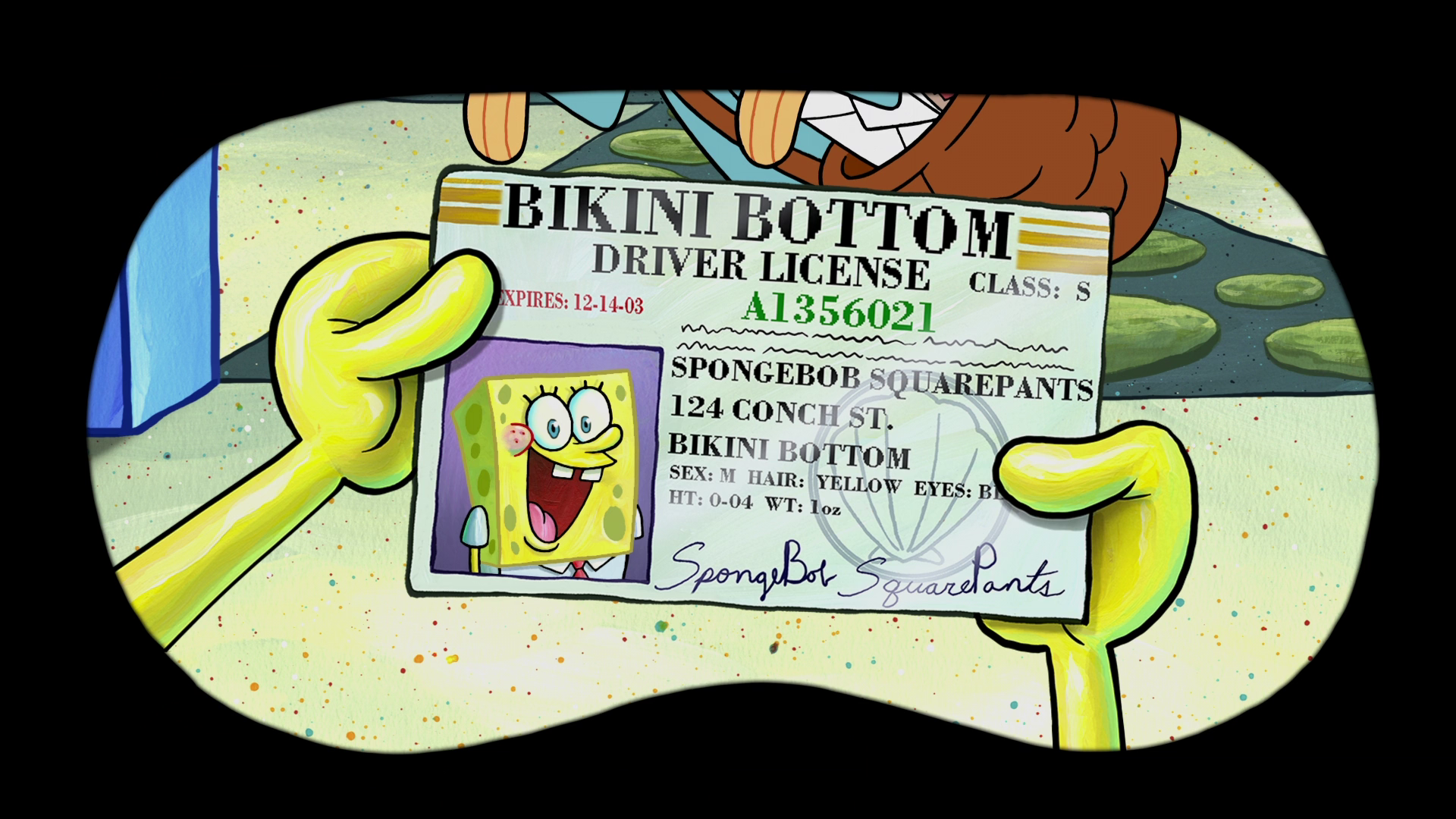 Spongebob S Driver S License Encyclopedia Spongebobia Fandom