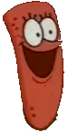 Spongetongue