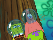 Wormy 025