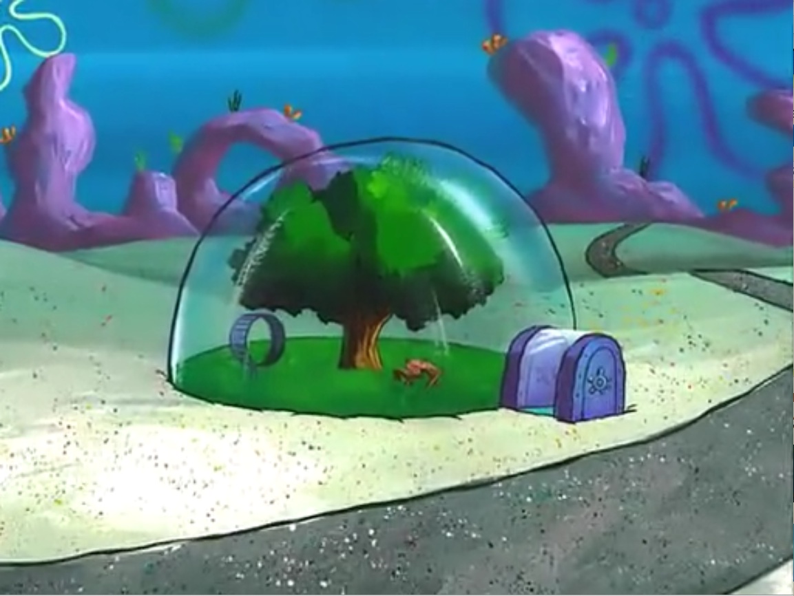 Sandy's treedome | Encyclopedia SpongeBobia | FANDOM powered by Wikia