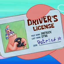List Of Driver S Licenses Encyclopedia Spongebobia Fandom