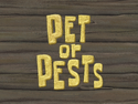 Pet or Pests title card