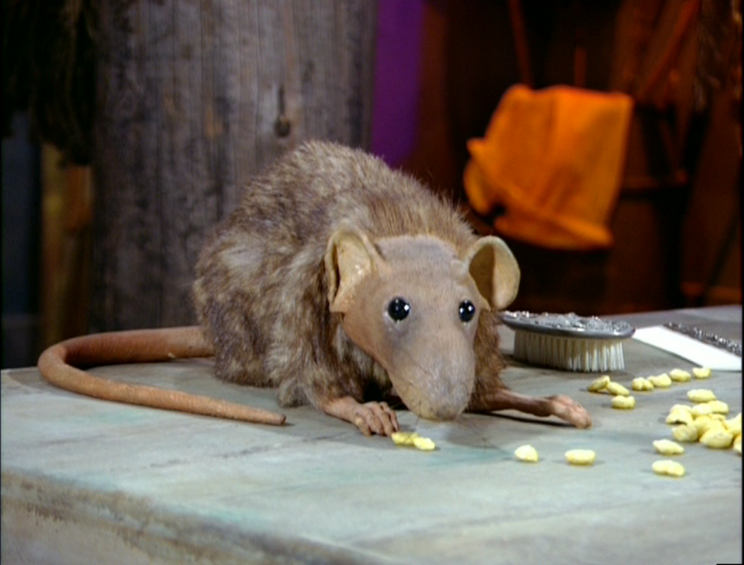 Rat | Encyclopedia SpongeBobia | Fandom
