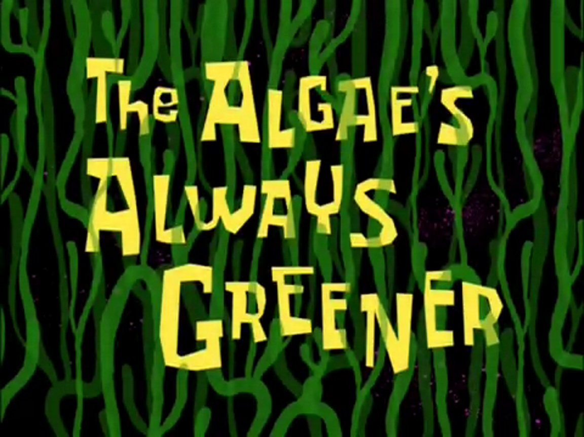 Resultado de imagem para the algae's always greener