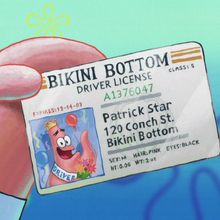 List Of Driver S Licenses Encyclopedia Spongebobia Fandom