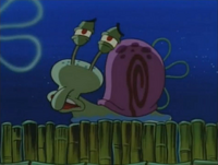 Squidsnail