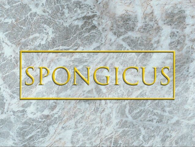 File:Spongicus.jpg