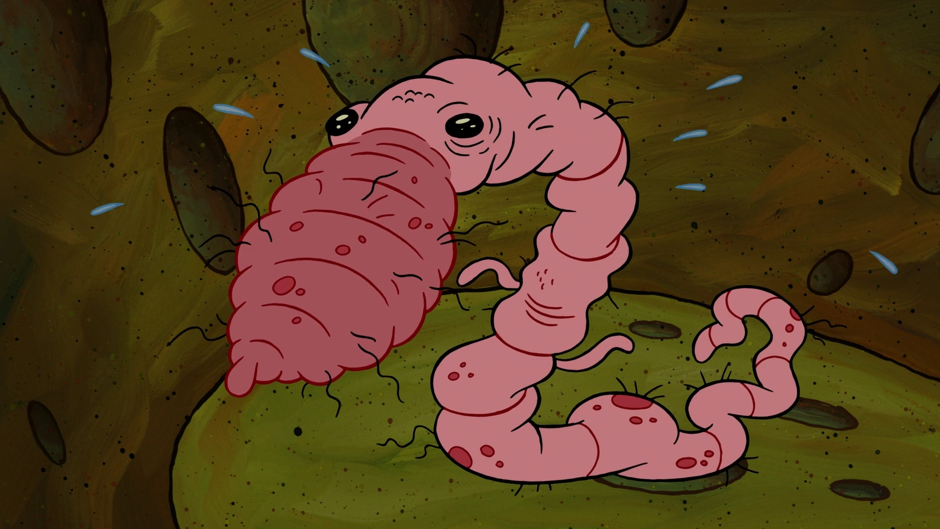 Червяк боба. Червяк боба. Аляскинский бычий червь губка боб. Бобы и свиньи. Аляскинский бычий червяк спанч боб.