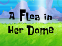 A Flea in Her Dome title card