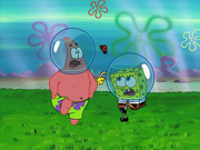 Wormy error