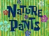 Nature Pants