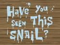 Have You Seen This Snail? title card