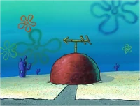 Patrick Star's House | Encyclopedia SpongeBobia | FANDOM ...