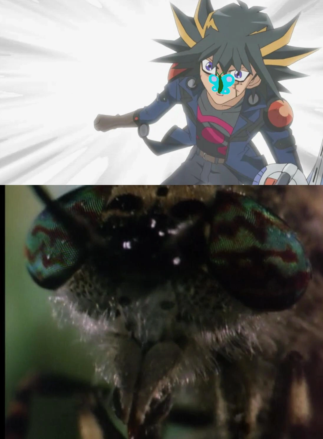 List of SpongeBob SquarePants Internet phenomena/Memes | Encyclopedia SpongeBobia | FANDOM ...