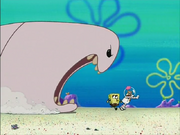 SandSpongeWorm