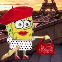 List Of Memes Encyclopedia Spongebobia Fandom