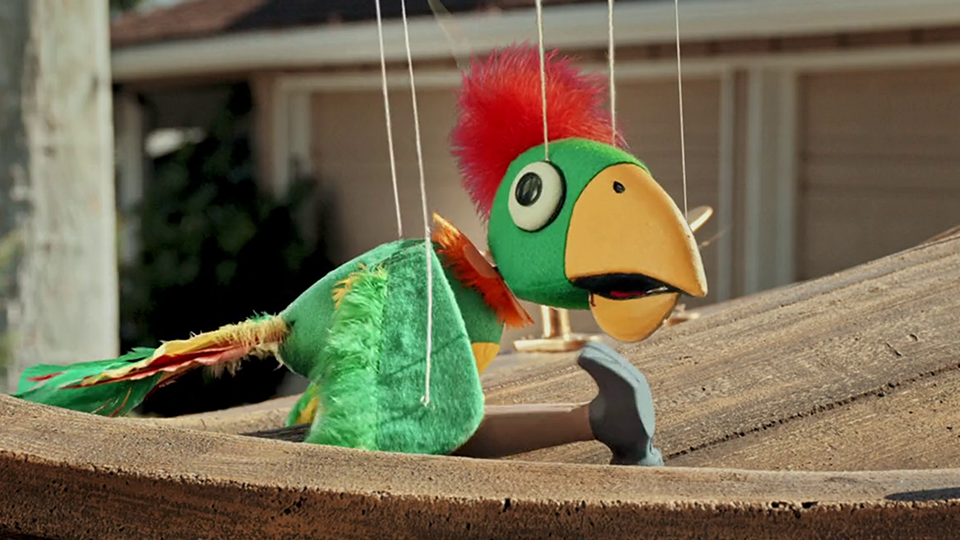 potty the parrot encyclopedia spongebobia fandom potty spongebob