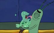 Plankton's Pet