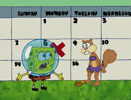 Prehibernation Week 026