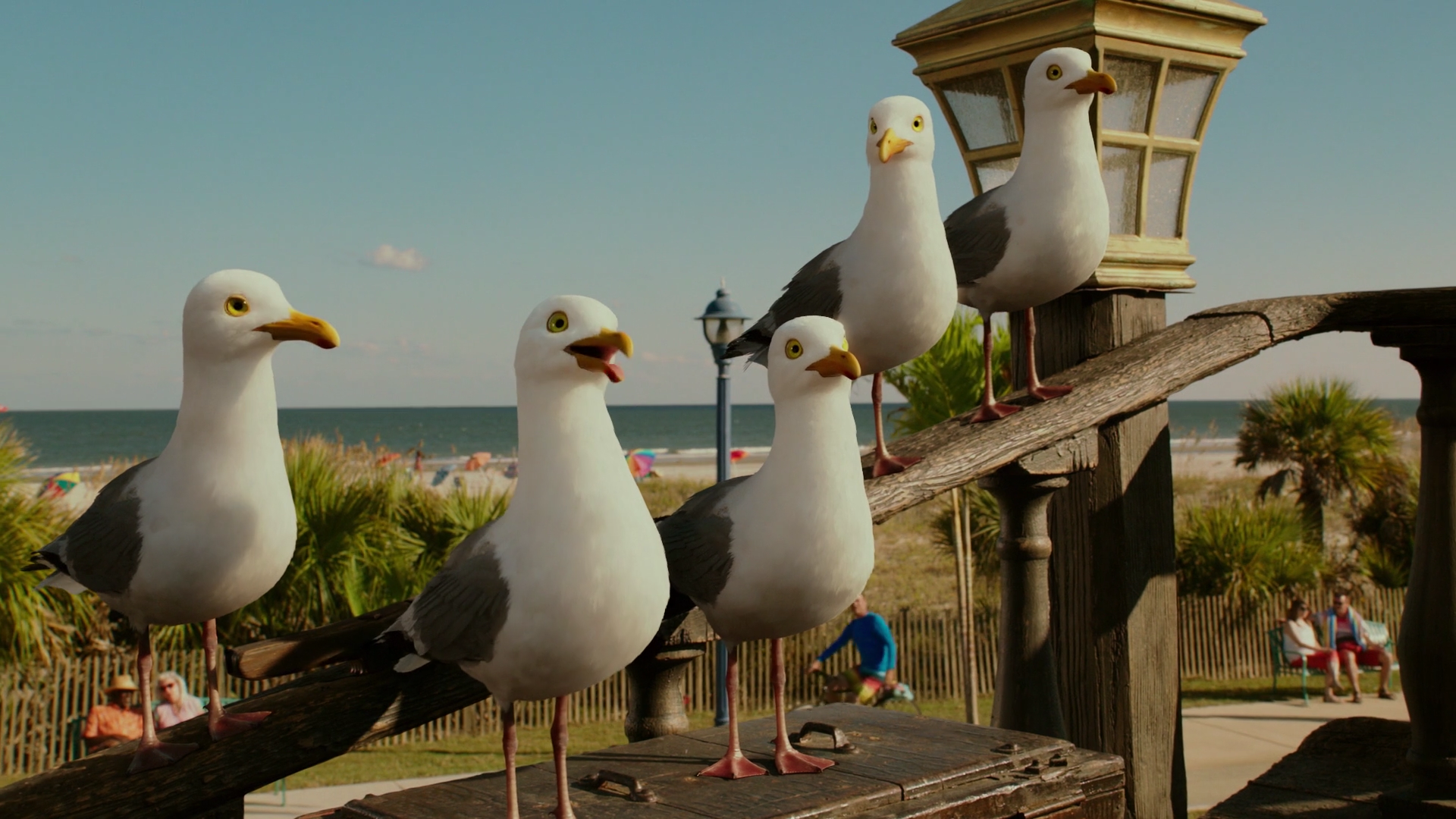The Seagull Crew Encyclopedia Spongebobia Fandom Powered