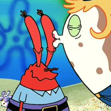 Mr Krabs Mrs Puff Relationship Encyclopedia Spongebobia Fandom