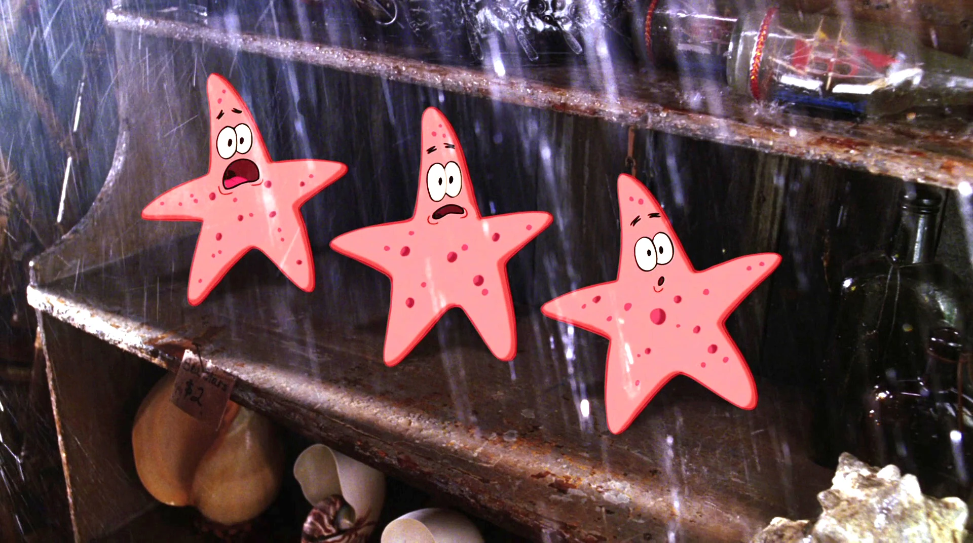 Image ShellCity Patricks.jpg Encyclopedia SpongeBobia FANDOM