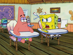 New Student Starfish 087