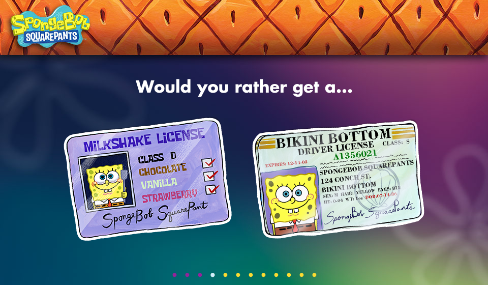 Spongebob S Driver S License Gallery Encyclopedia Spongebobia
