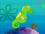 My Pretty Seahorse 07