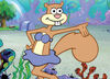 Sandy cheeks main