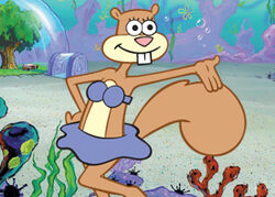Sandy cheeks main