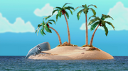 Whale Watching 163