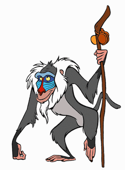 Rafiki2