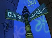 INTERSECTION OF CONCH AND CORAL