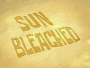 106b - Sun Bleached