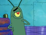 Plankton Positive