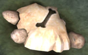 180px-Fossilized domesticated ani